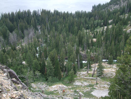 Hidden Falls and Inspiration Point