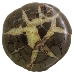 Septarian Nodule