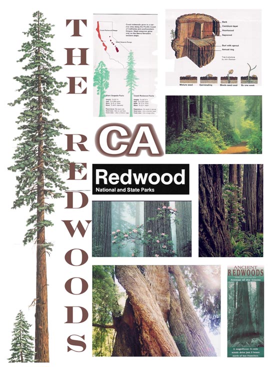 Page 7: 2001 Trip to California and Wyoming