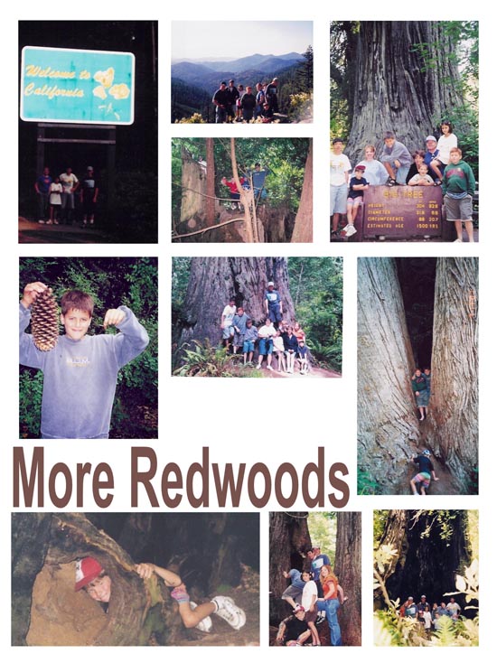 Page 8: 2001 Trip to California and Wyoming