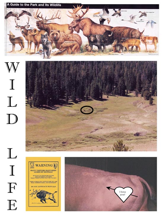 Page 13: 2001 Trip to California and Wyoming