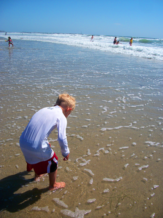 White Family Reunion in San Diego, CA