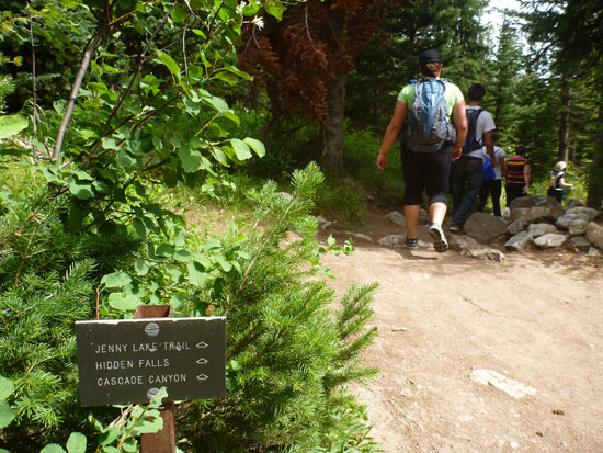 Hike Around Jenny Lake