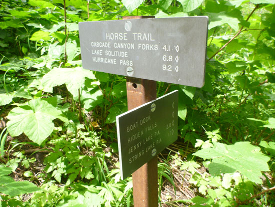Hike Around Jenny Lake