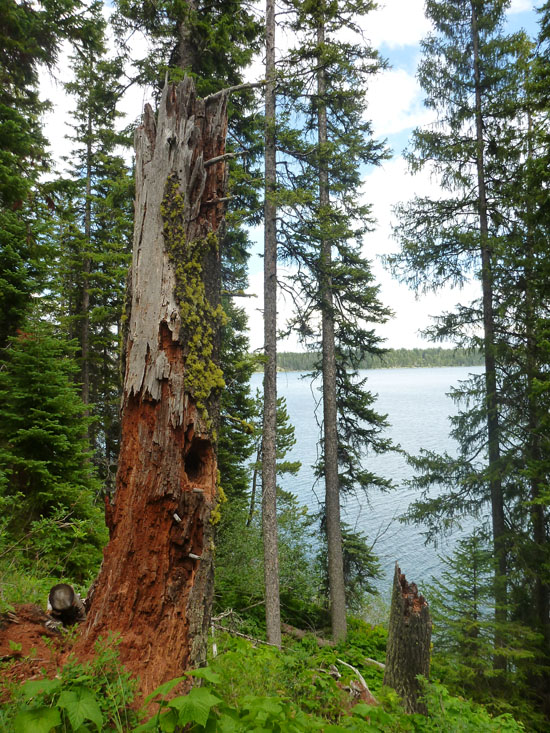 Hike Around Jenny Lake