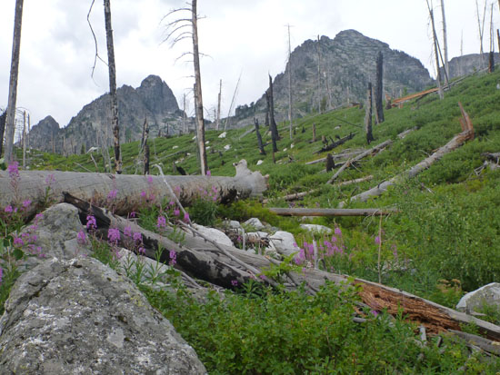 Hike Around Jenny Lake