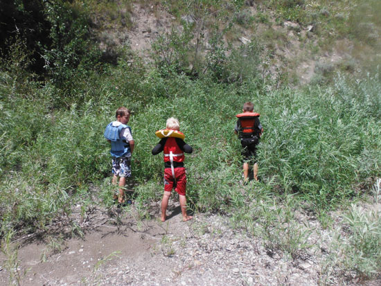 Snake River Rafting