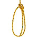 Bowline