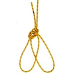Bowline on a Bight