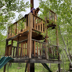Cabin Fort