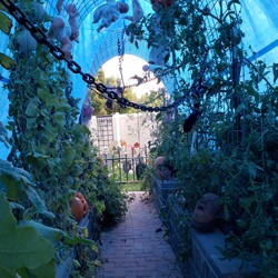 Garden Tunnel Scene
