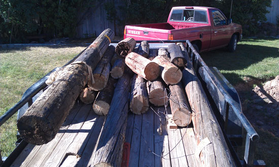 Landscaping the Back Yard