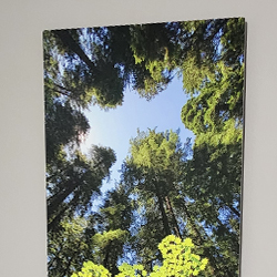 Metal Prints