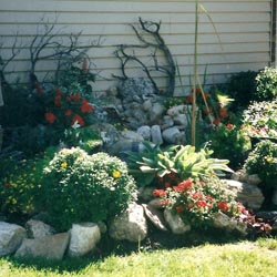 Pond and Waterfall #1