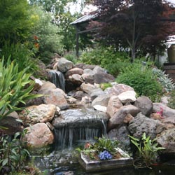 Pond & Waterfall 2