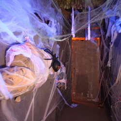 Spider Scene