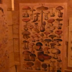 Witch Posters