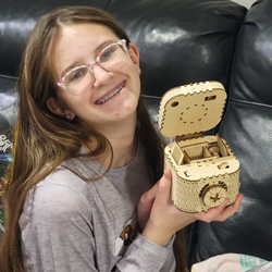 Wood STEM Kits
